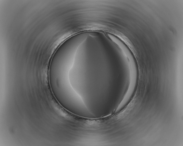 X0000113050850200909101937