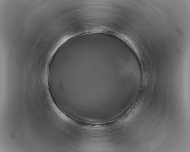 X0000113050851200909101937