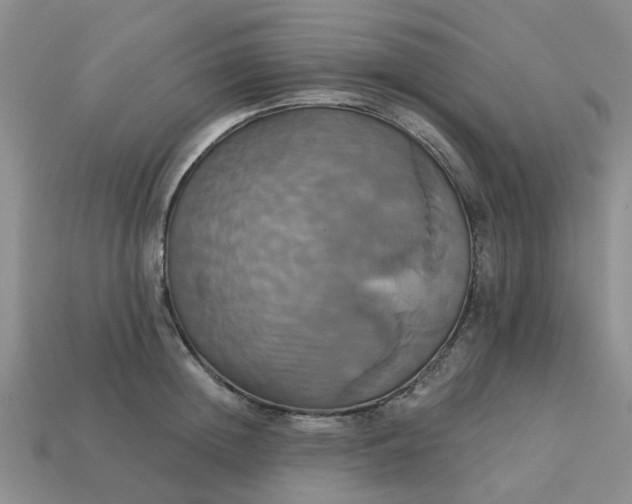 X0000113050852200909101937