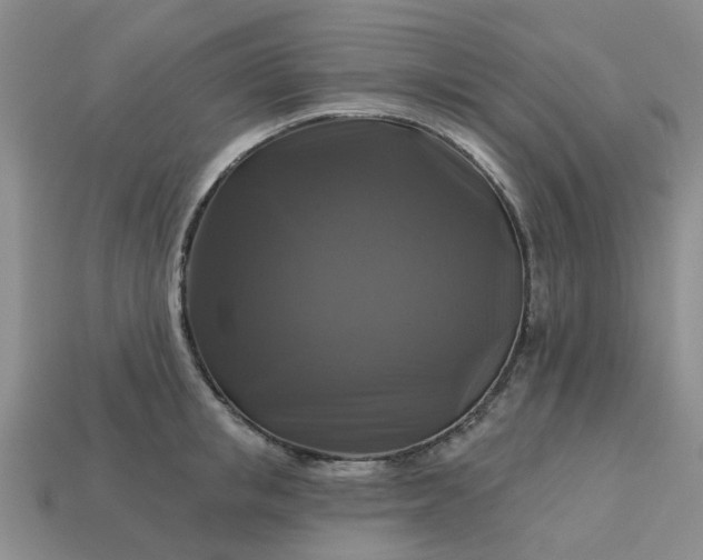 X0000113050853200909101937