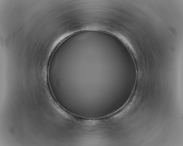 X0000113050854200909101937