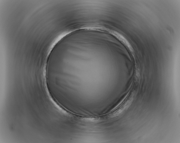 X0000113050855200909101937