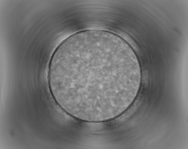 X0000113050856200909101937