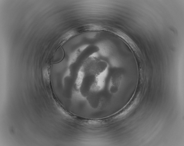 X0000113050857200909101937