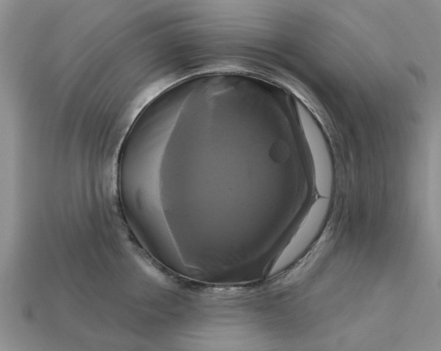 X0000113050858200909101937