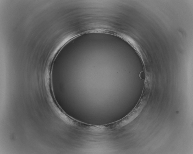 X0000113050859200909101937