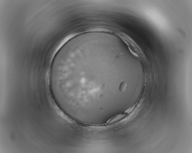 X0000113050860200909101937