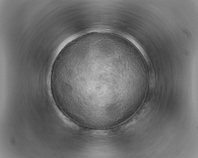 X0000113050861200909101937