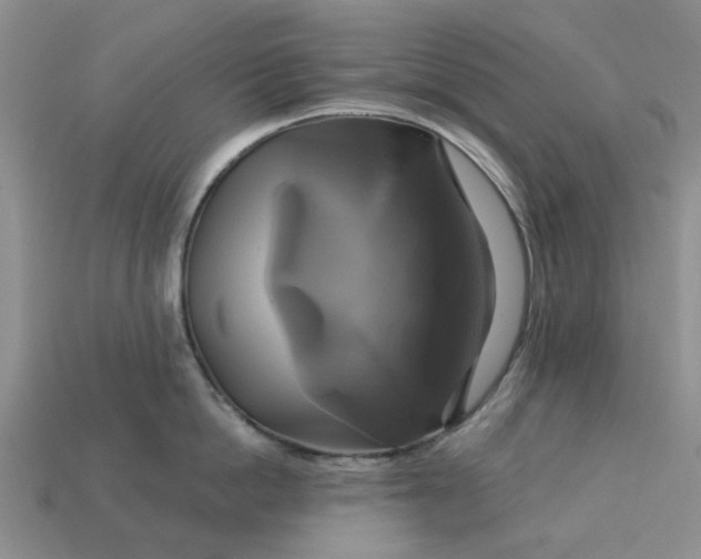 X0000113050862200909101937