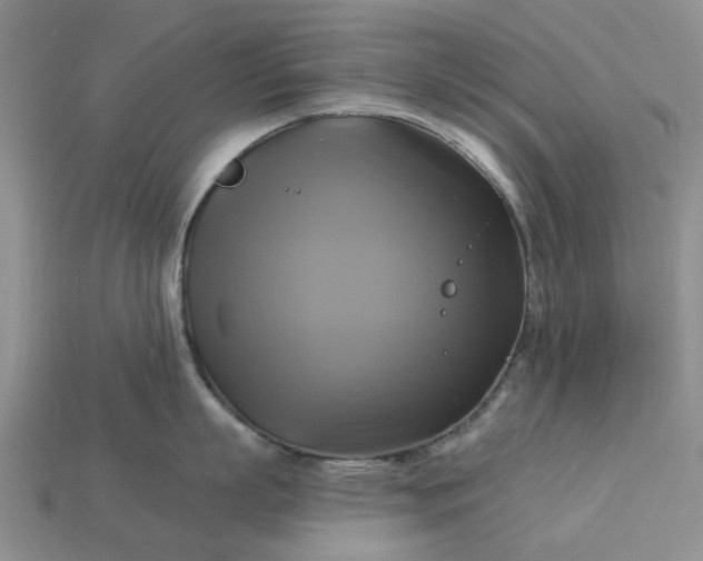 X0000113050863200909101937