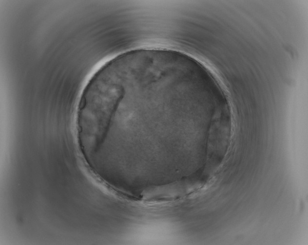 X0000113050864200909101937