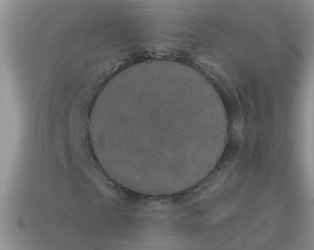 X0000113050865200909101937