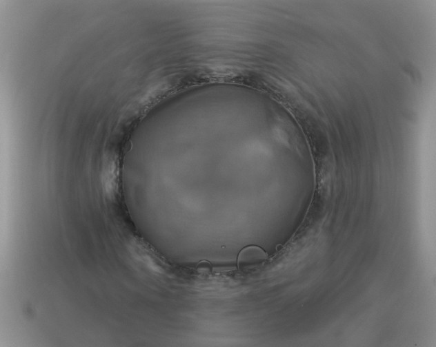 X0000113050866200909101937