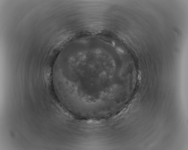 X0000113050867200909101937