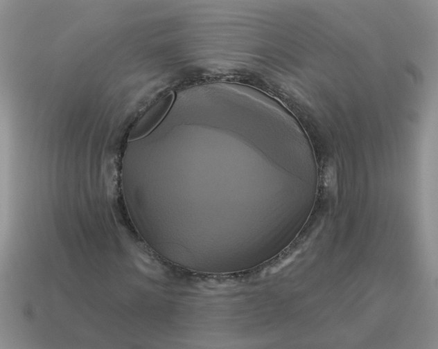 X0000113050868200909101937