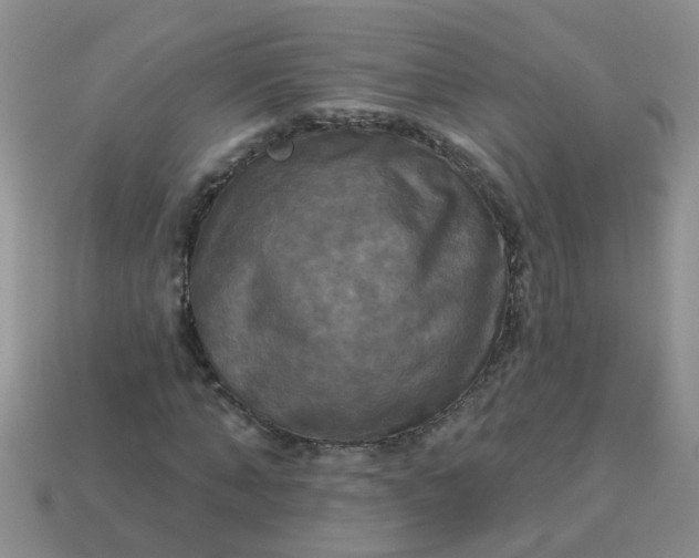 X0000113050870200909101937