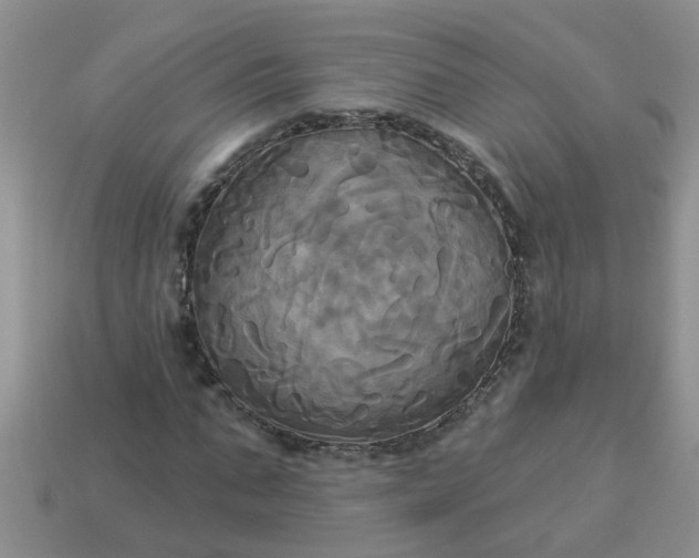 X0000113050871200909101937