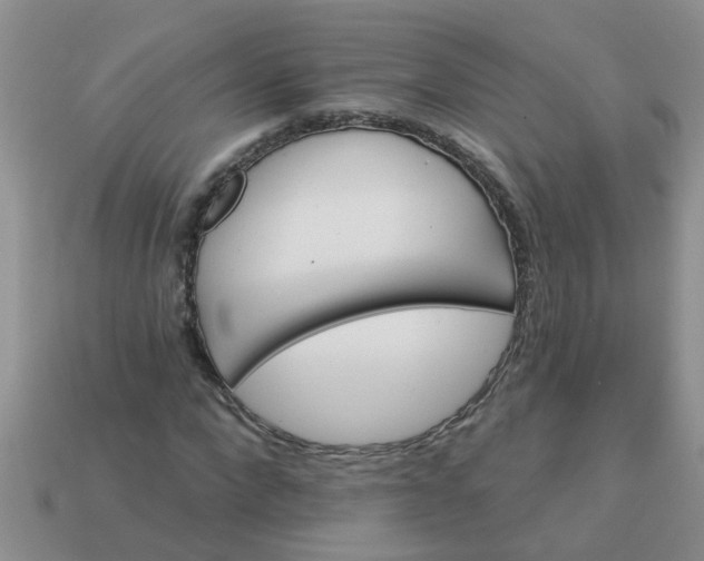 X0000113050872200909101937