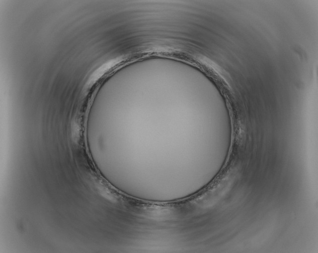 X0000113050874200909101937