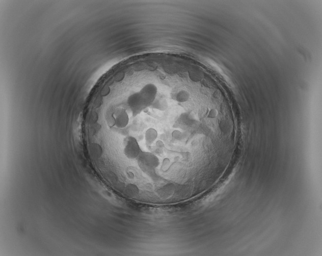 X0000113050875200909101937