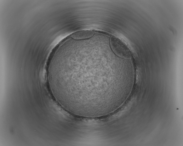 X0000113050876200909101937