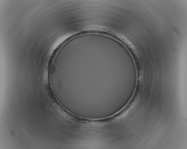 X0000113050877200909101937