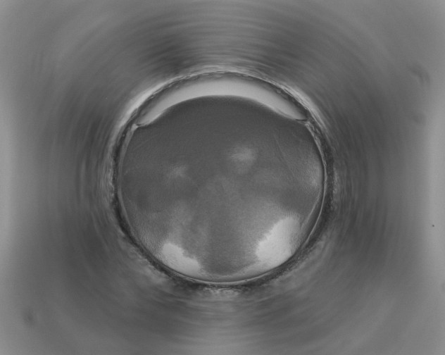 X0000113050878200909101937