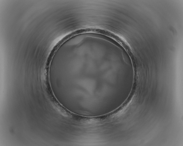 X0000113050879200909101937