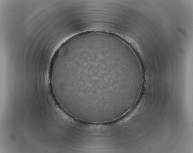 X0000113050880200909101937