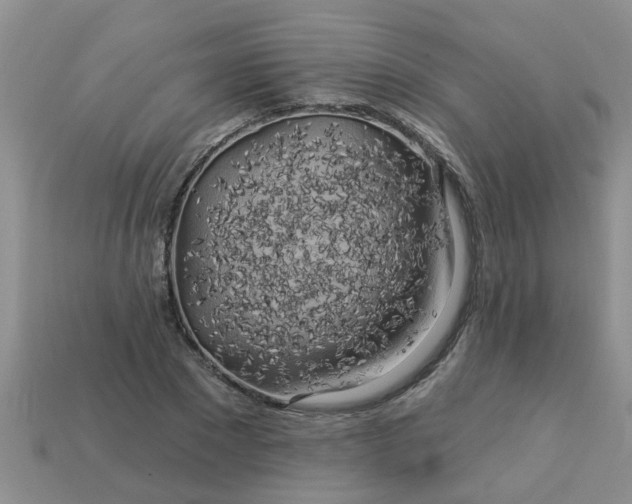 X0000113050881200909101937