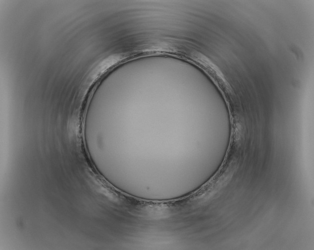 X0000113050882200909101937