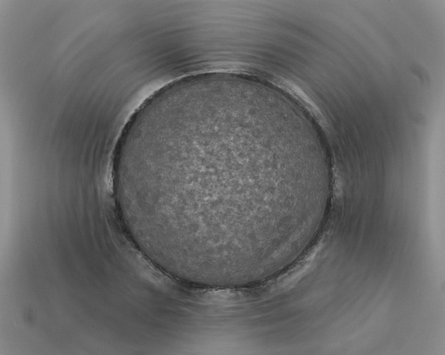 X0000113050883200909101937