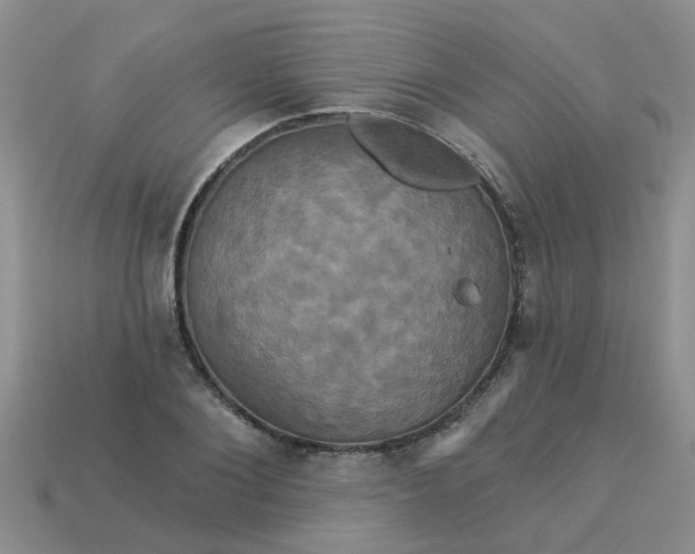 X0000113050884200909101937