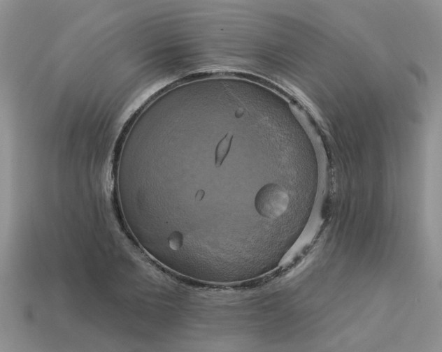 X0000113050885200909101937