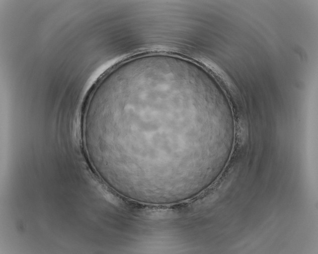 X0000113050886200909101937