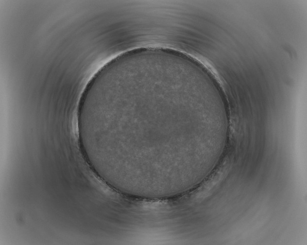 X0000113050887200909101937