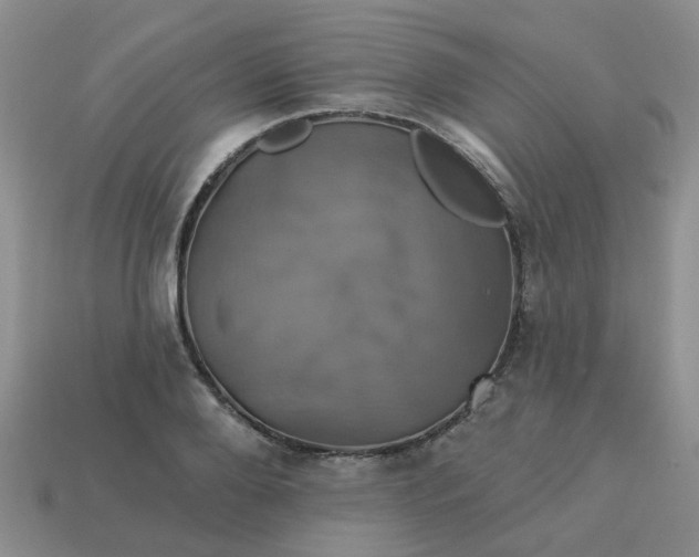 X0000113050888200909101937