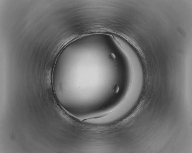 X0000113050889200909101937