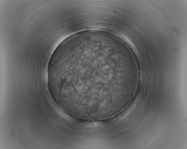 X0000113050891200909101937