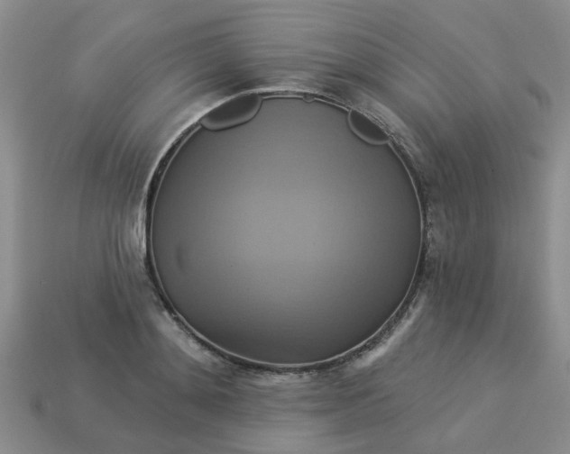 X0000113050892200909101937