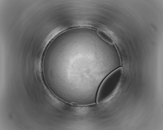 X0000113050893200909101937