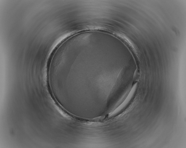 X0000113050894200909101936