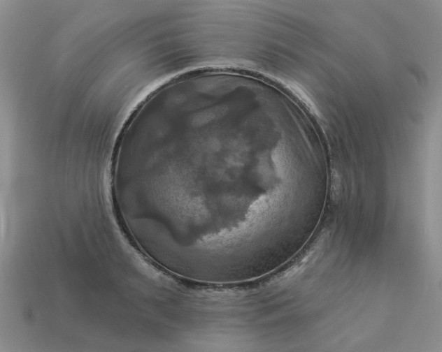 X0000113050895200909101936