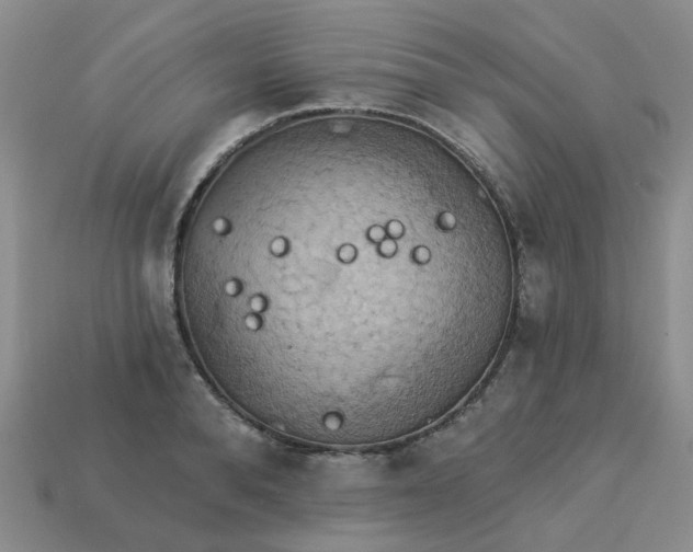 X0000113050896200909101936