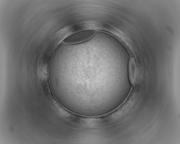 X0000113050897200909101936