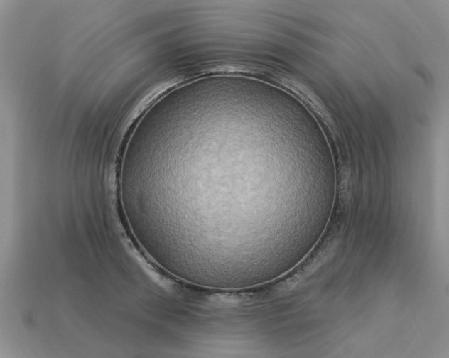 X0000113050898200909101936