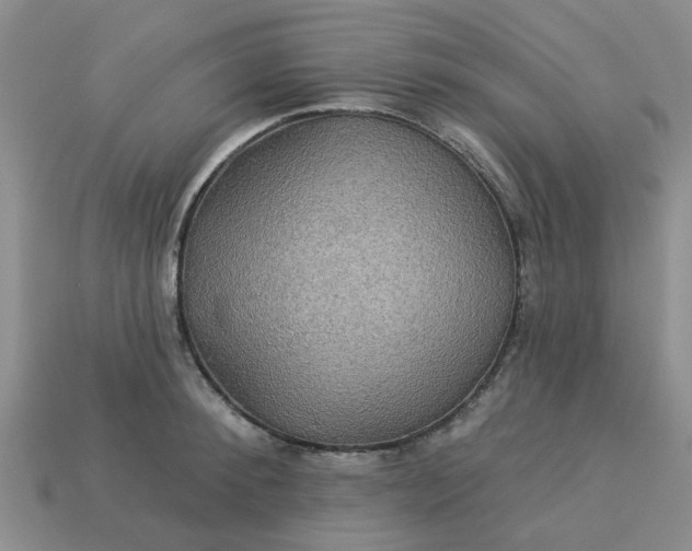 X0000113050900200909101936