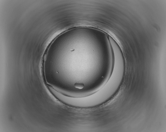 X0000113050901200909101936