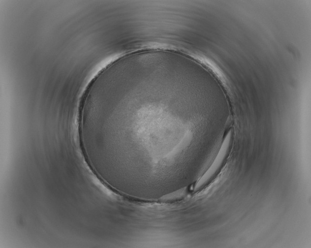 X0000113050902200909101936