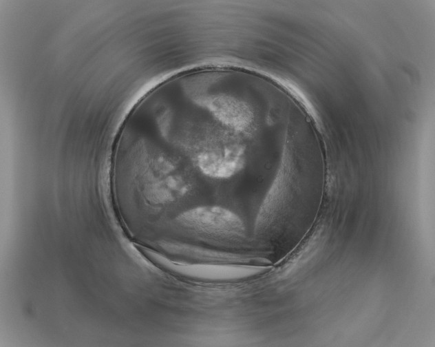 X0000113050903200909101936